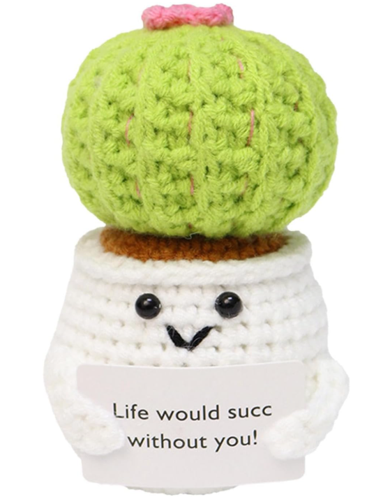 Knitted cactus plant with a small heart on top, white pot, and message 'Life would succ without you!' on a white background.