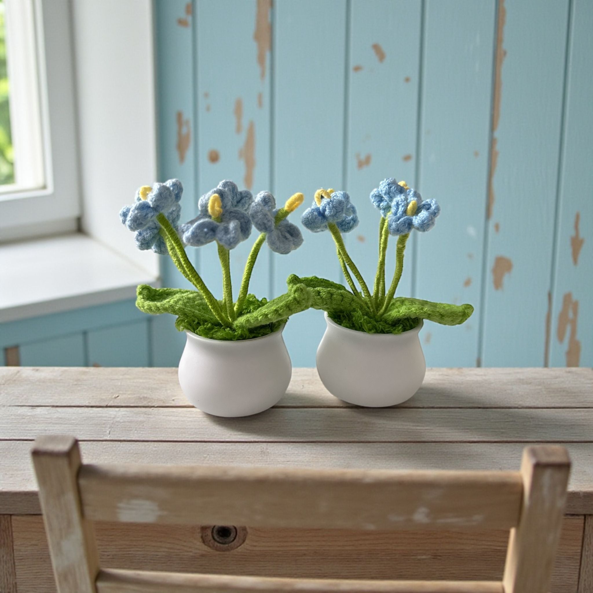 Two small potted plants with blue flowers on a wooden table against a light blue wall.