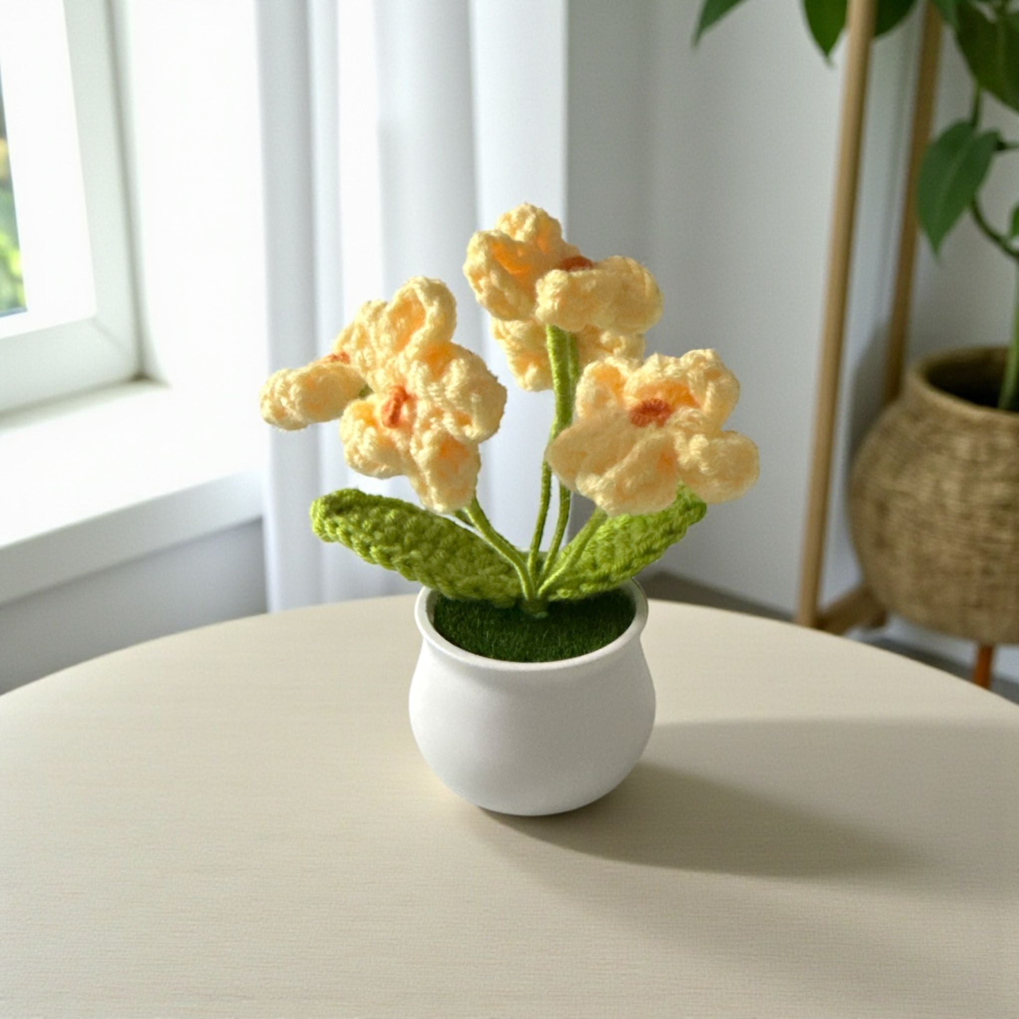 Small potted plant with yellow flowers on a white surface
