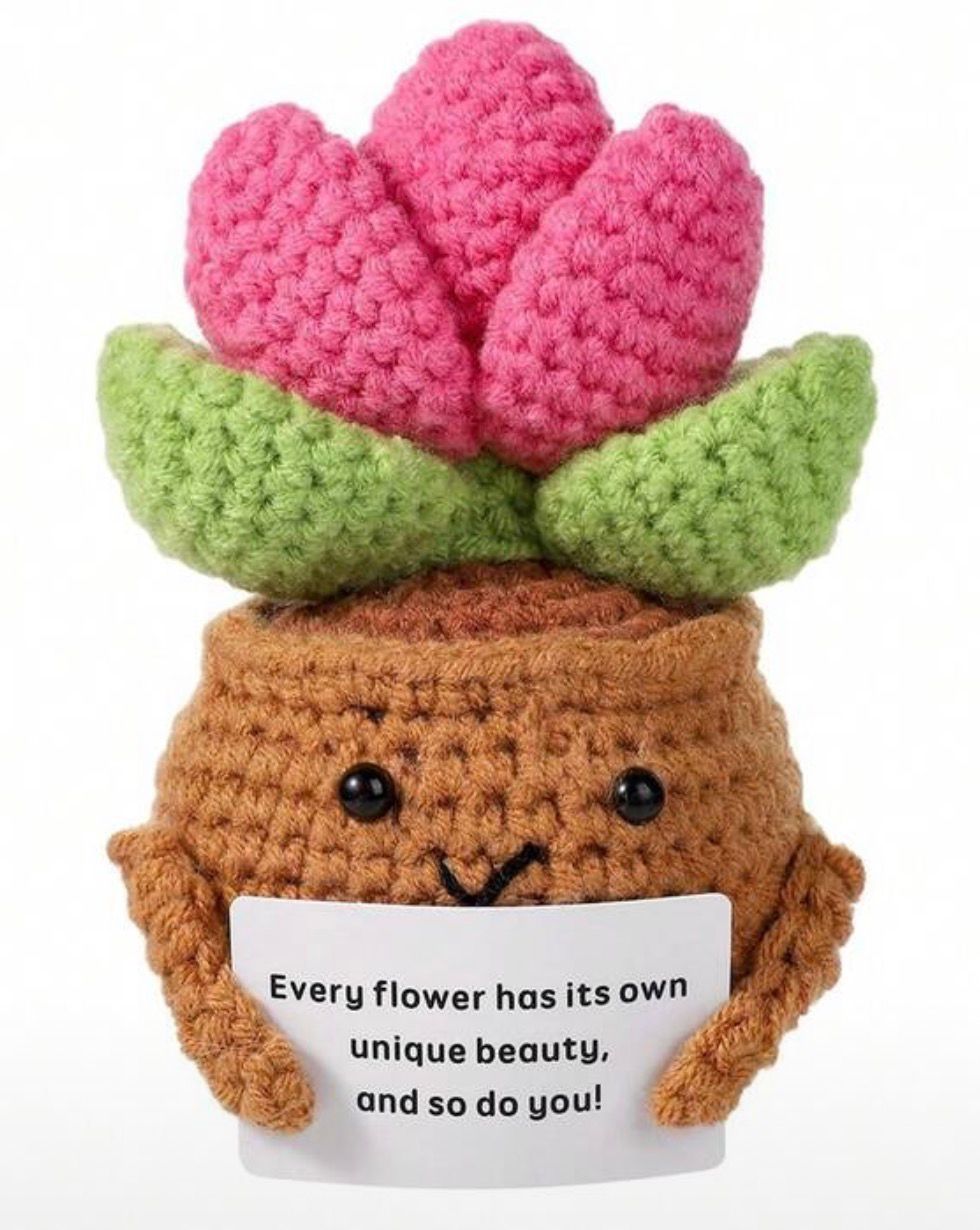 Handmade Crochet Pink & Green Cactus Plush Pot Cute Desk Decor