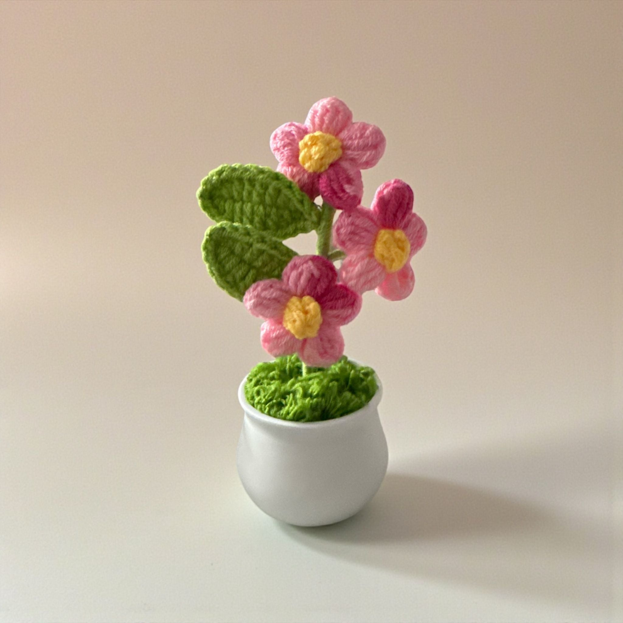 Handmade Crochet Flower Pot Cute Desk decor