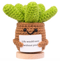 Crocheted succulent plant with a smiling face holding a card on a white background