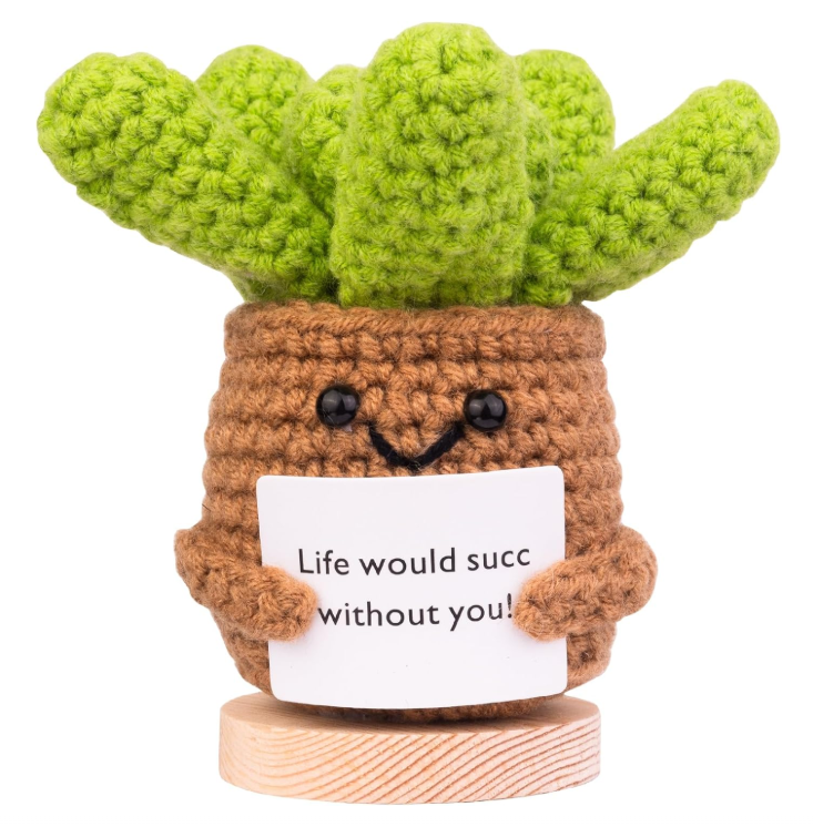 Crocheted succulent plant with a smiling face holding a card on a white background